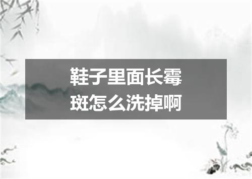 鞋子里面长霉斑怎么洗掉啊