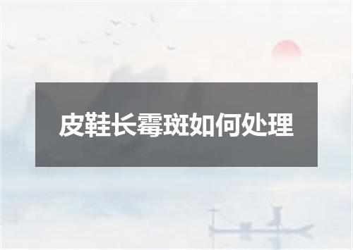 皮鞋长霉斑如何处理