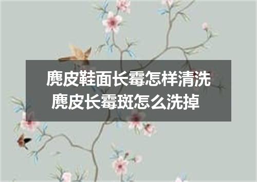 麂皮鞋面长霉怎样清洗 麂皮长霉斑怎么洗掉