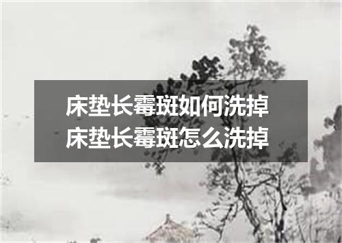 床垫长霉斑如何洗掉 床垫长霉斑怎么洗掉