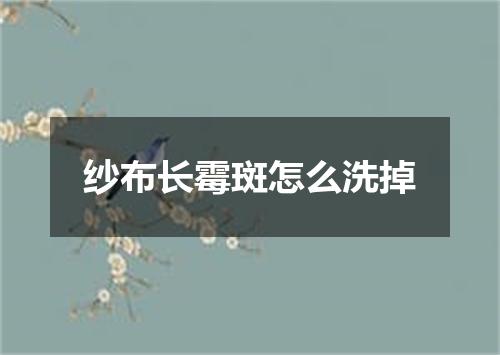 纱布长霉斑怎么洗掉