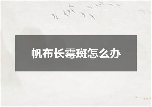 帆布长霉斑怎么办