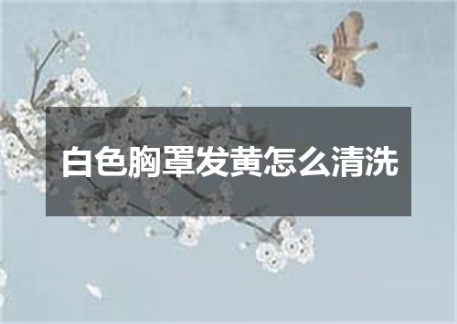 白色胸罩发黄怎么清洗