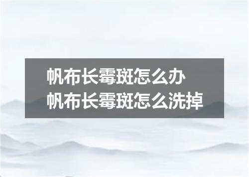 帆布长霉斑怎么办 帆布长霉斑怎么洗掉