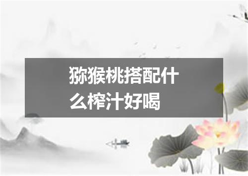 猕猴桃搭配什么榨汁好喝