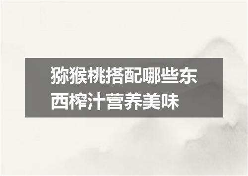 猕猴桃搭配哪些东西榨汁营养美味