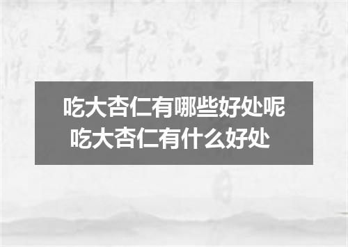吃大杏仁有哪些好处呢 吃大杏仁有什么好处