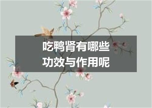吃鸭肾有哪些功效与作用呢