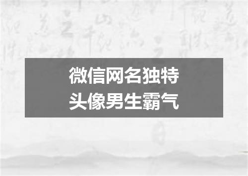 微信网名独特头像男生霸气