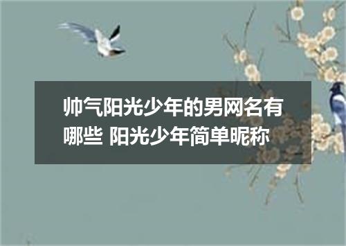 帅气阳光少年的男网名有哪些 阳光少年简单昵称