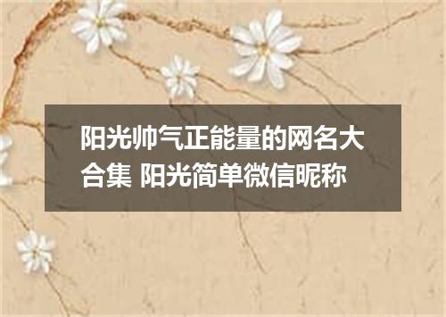 阳光帅气正能量的网名大合集 阳光简单微信昵称