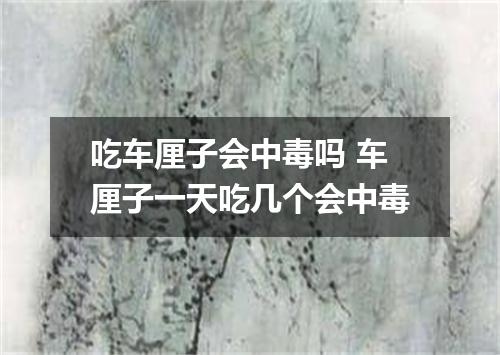 吃车厘子会中毒吗 车厘子一天吃几个会中毒