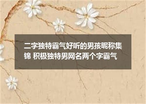 二字独特霸气好听的男孩昵称集锦 积极独特男网名两个字霸气
