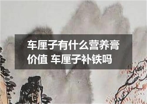 车厘子有什么营养膏价值 车厘子补铁吗