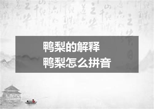鸭梨的解释 鸭梨怎么拼音