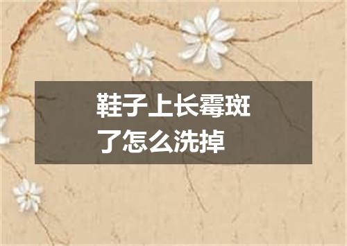 鞋子上长霉斑了怎么洗掉