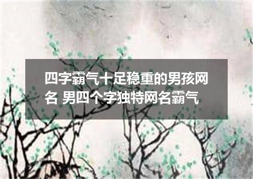 四字霸气十足稳重的男孩网名 男四个字独特网名霸气