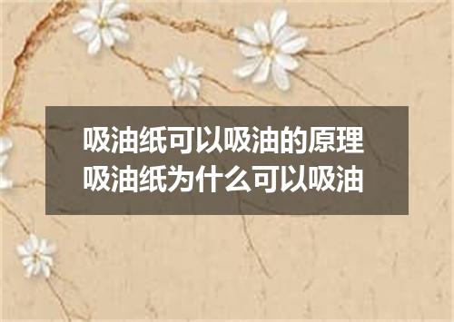 吸油纸可以吸油的原理 吸油纸为什么可以吸油
