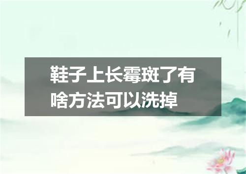 鞋子上长霉斑了有啥方法可以洗掉