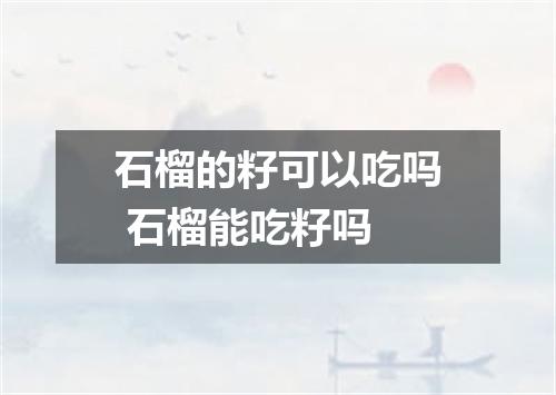石榴的籽可以吃吗 石榴能吃籽吗
