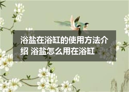 浴盐在浴缸的使用方法介绍 浴盐怎么用在浴缸