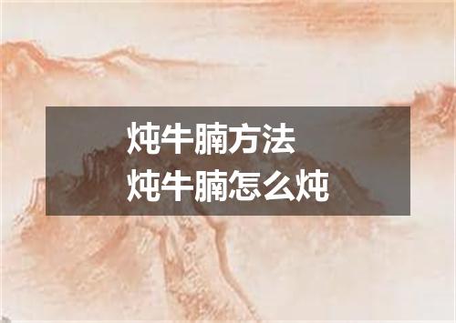 炖牛腩方法 炖牛腩怎么炖