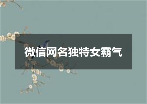 微信网名独特女霸气