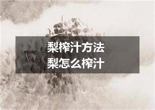 梨榨汁方法 梨怎么榨汁