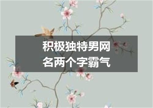 积极独特男网名两个字霸气