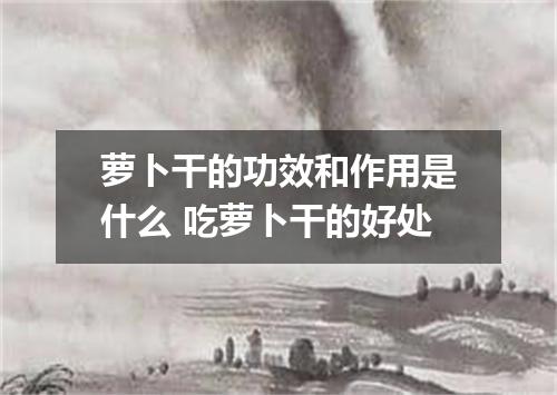 萝卜干的功效和作用是什么 吃萝卜干的好处