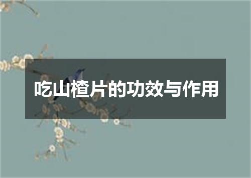 吃山楂片的功效与作用