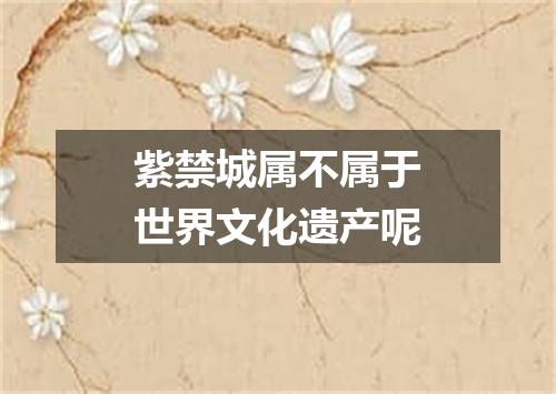 紫禁城属不属于世界文化遗产呢