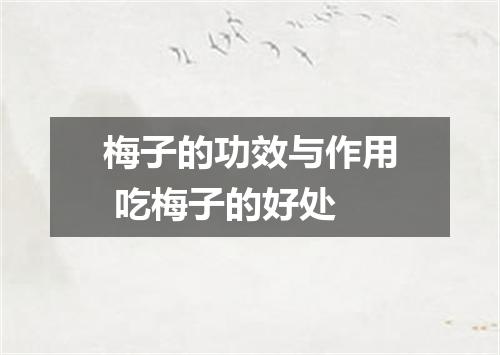 梅子的功效与作用 吃梅子的好处