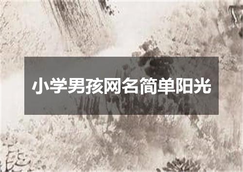 小学男孩网名简单阳光