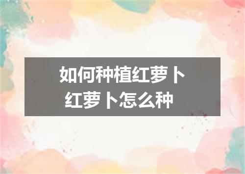 如何种植红萝卜 红萝卜怎么种