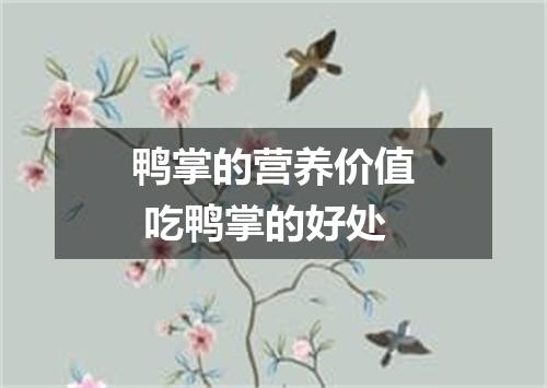 鸭掌的营养价值 吃鸭掌的好处