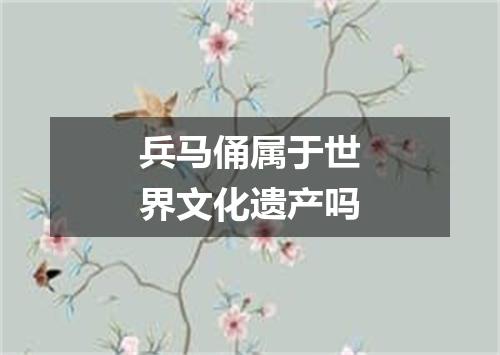 兵马俑属于世界文化遗产吗