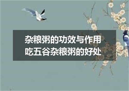 杂粮粥的功效与作用 吃五谷杂粮粥的好处