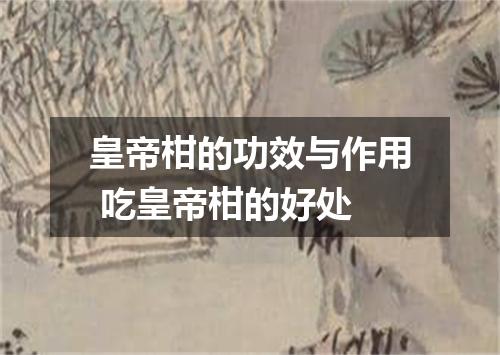 皇帝柑的功效与作用 吃皇帝柑的好处