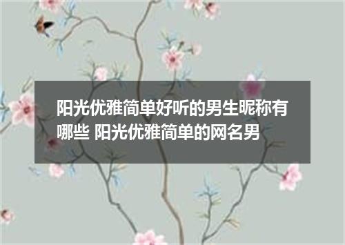 阳光优雅简单好听的男生昵称有哪些 阳光优雅简单的网名男