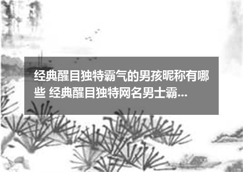 经典醒目独特霸气的男孩昵称有哪些 经典醒目独特网名男士霸气