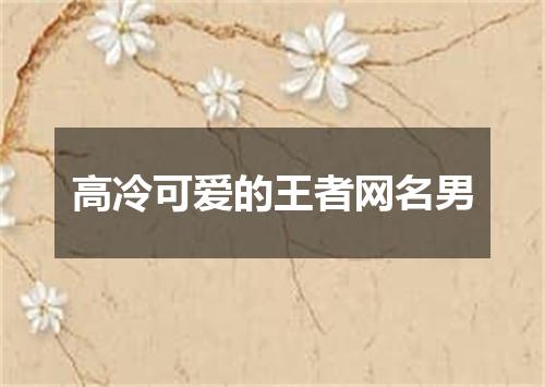高冷可爱的王者网名男
