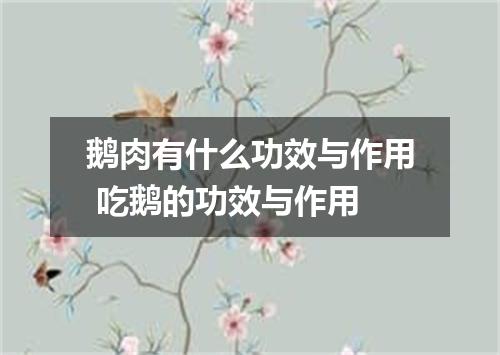 鹅肉有什么功效与作用 吃鹅的功效与作用