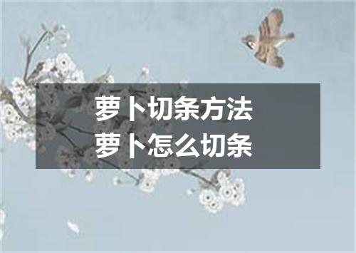 萝卜切条方法 萝卜怎么切条