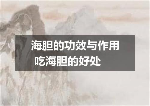 海胆的功效与作用 吃海胆的好处