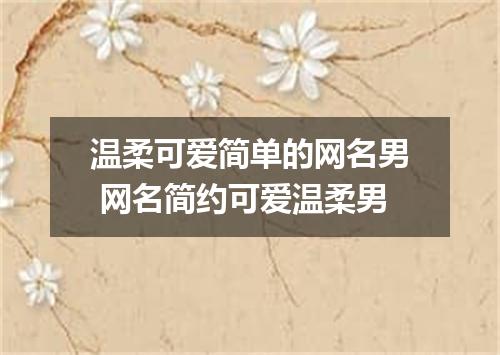 温柔可爱简单的网名男 网名简约可爱温柔男