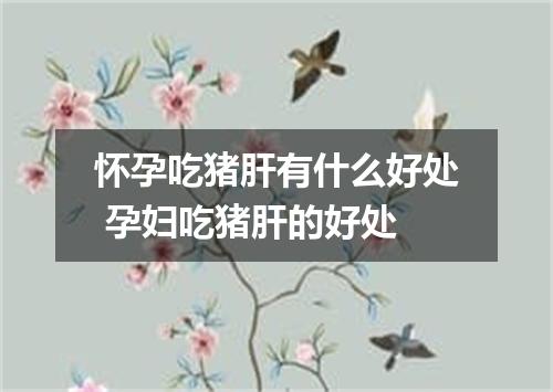 怀孕吃猪肝有什么好处 孕妇吃猪肝的好处