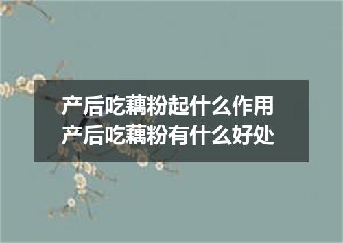 产后吃藕粉起什么作用 产后吃藕粉有什么好处