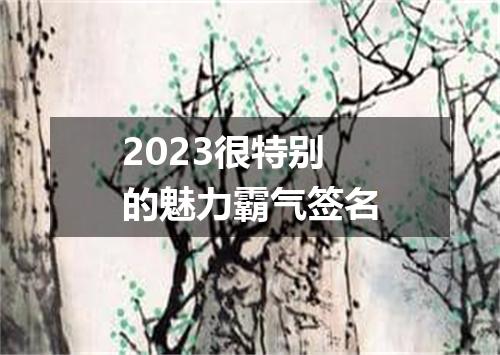 2023很特别的魅力霸气签名