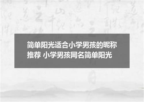 简单阳光适合小学男孩的昵称推荐 小学男孩网名简单阳光